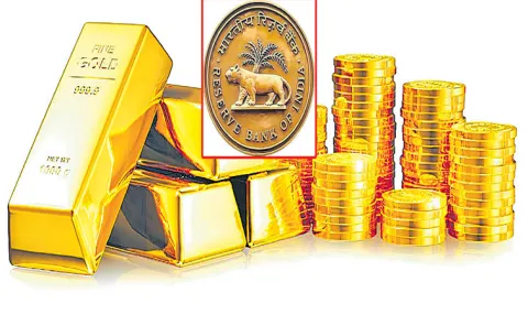 RBI doubles gold purchases to 57. 5 tonnes in FY255