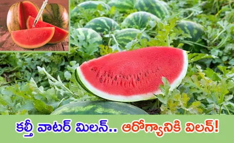 How To Identify Adulterated Watermelon Follow These Simple Tips13
