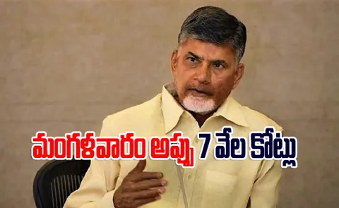 Chandrababu Naidu Government Records In Debt1