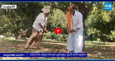 YS Jagan Supports to AP Farmers 8