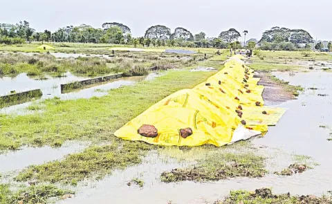 Andhra pradesh: Paddy Stocks Soaked In Unseasonal Rains10