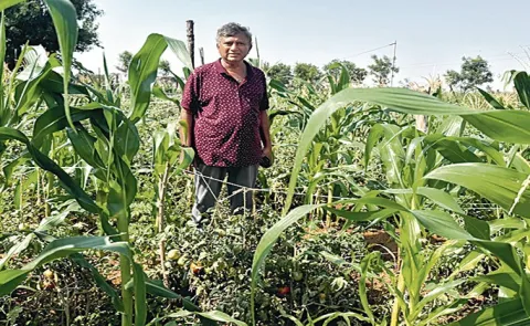 An Organic Farmer Trying Something Innovative Goes Viral14