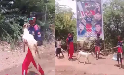 3 RCB Fans Arrested For Sacrificing Goat In Front Of Virat Kohli Cutout13