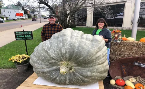 Wykus Lamprecht of Meyerton pumpkin of 867kg smashes record15