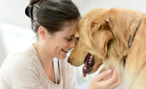 Mars x Calm Survey Reveals How Pets boots Mental Health 14