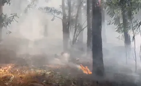 fire accident at tirumala