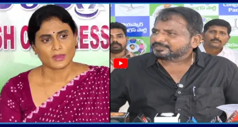YSRCP Sake Sailajanath Strong Counter YS Sharmila Comments