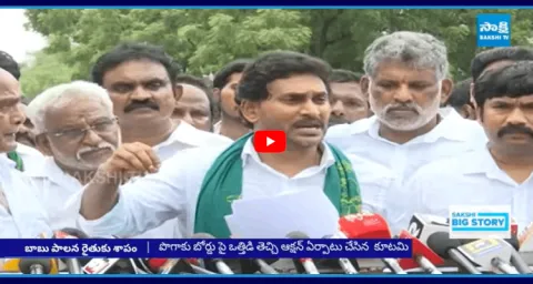 YS Jagan Mohan Reddy Slams Chandrababu