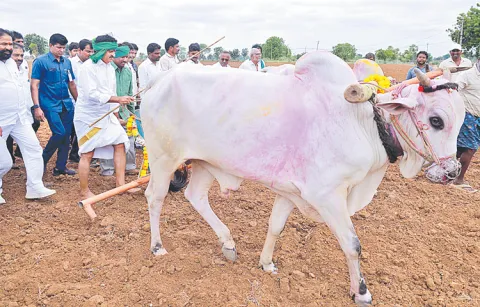 Land issues to be resolved by August 15th