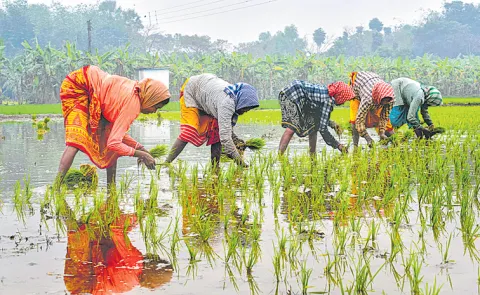 Sakshi Guest Column On Farmers Issues