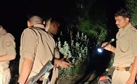 Newlywed in Jharkhand Poisons Husband with Pesticide