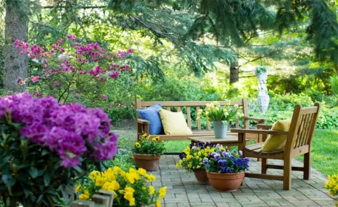 Must-Have Monsoon Plants for Your Balcony And Terrace 13