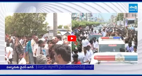 YS Jagan Palnadu Tour Updates
