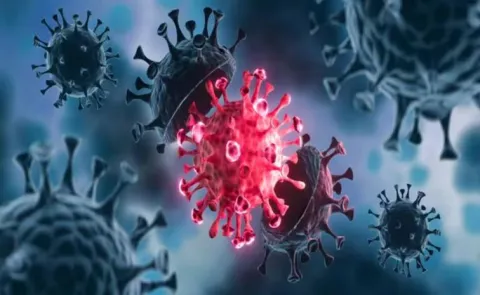 CORONA VIRUS: 3 new deaths recorded on Delhi12