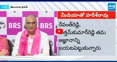 Harish Rao Funny Comments on CM Revanth Puli Bidda Dialogue