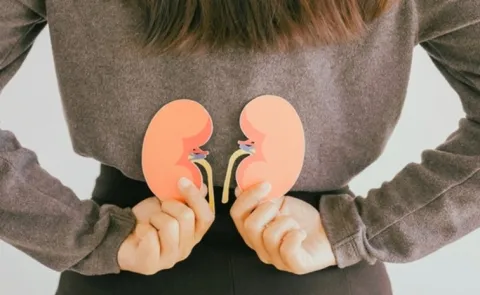 World Kidney Cancer Day 2025: Recurrent UTIs in women may lead to kidney problem