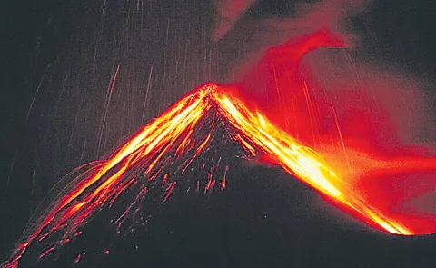 Trees can provide early warning of volcanic eruptions says NASA finds12