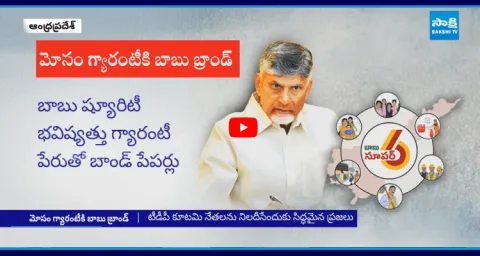 Chandrababu Conspiracy Politics Babu Surety Bhavishaythuku Guarantee