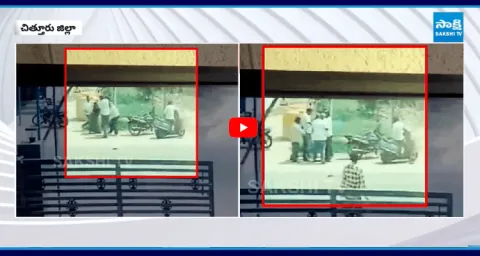 TDP Activist Dileep Naidu Attack On Nagaveni In Chittoor
