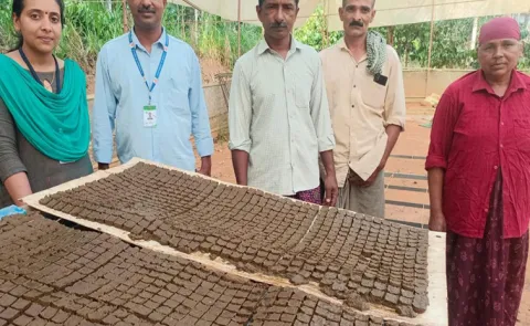 Sagubadi Rice pelleting technique by Kerala farmer scientist Aji Thomas12