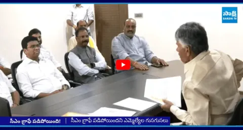 TDP MLAs Mass Counter To CM Chandrababu