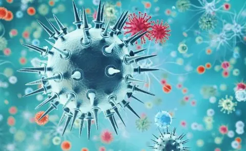 Next Pandemic Soon bat Viruses in China Show Covid Like Threat14