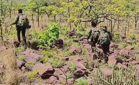 security forces Vs Maoist Encounter again In Chhattisgarh13