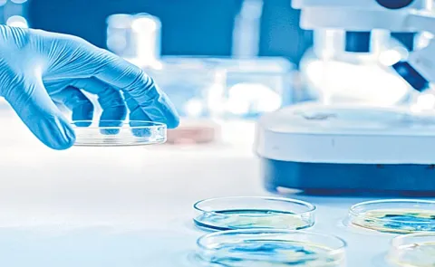 Bat Viruses In China Show Covid-Like Threat, Scientists Warn5