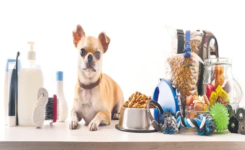 India Pet Care Industry Is Set To Touch Rs60,0000 Cr