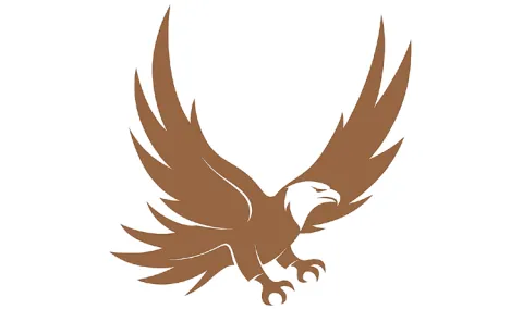 Special team conducting joint operations with local police