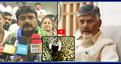 Perni Nani Slams Chandrababu And TDP Leaders Over AP Farmers Situations