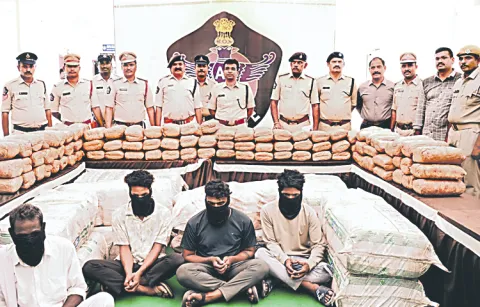 850 kg of marijuana seized