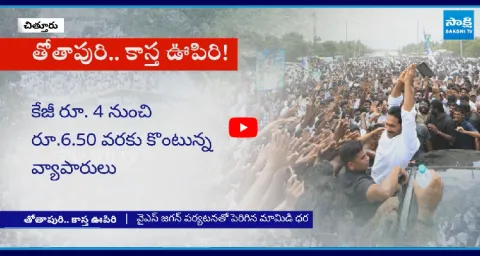 YS Jagan Bangarupalyam Tour Effect TDP Govt Hike Mango Price