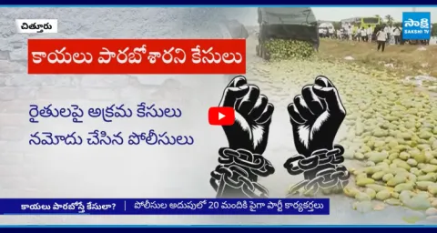 False Cases Filed On Those Who Dump Mangoes On Road