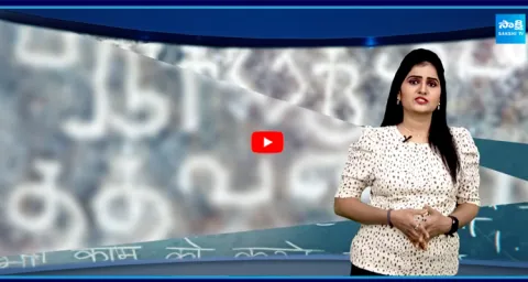 South States And Maharashtra Protest Language Policy