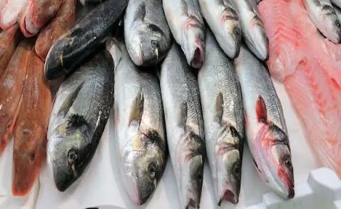 Rainy Season Diet: Can you eat fish during monsoons12