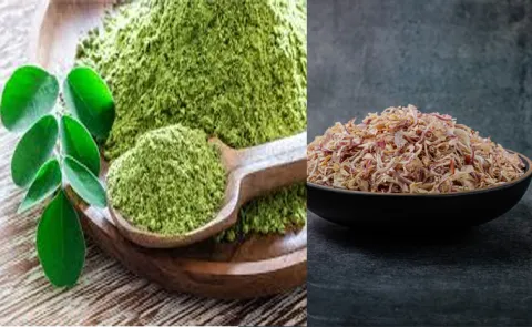 Sagubadi how to make onion flakes and Organic Moringa Powder13