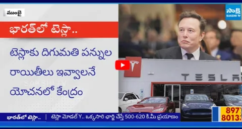 SHOCKING Truth About Elon Musks BIG Plan for Tesla in India