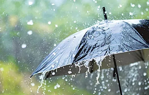 Rain forecast again for the state