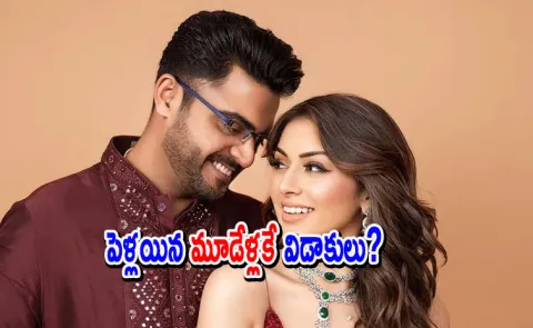 Hansika Motwani Husband Sohael Khaturiya put an End to Divorce Rumours