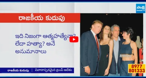Elon Musk Released Donald Trump Pic With Jeffrey Epstein