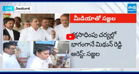 Sajjala Ramakrishna Reddy About Chandrababu Liquor Scam