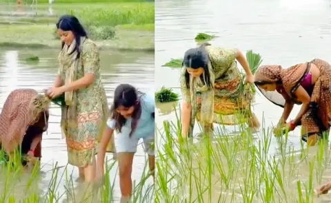 Priya Saroj's video went viral, she was seen planting paddy in the field