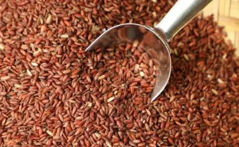 Sagubadi: Kullakar Rice several health benefits and nutritional vules