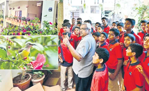 haven for flora and fauna 900 species of plants and birds in davangere
