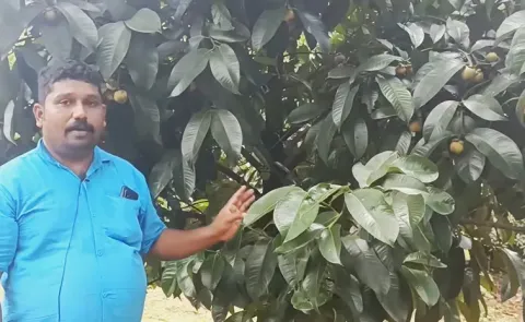 Mee millionaire farmer success through rambutan, mangosteen fruits from Karnataka