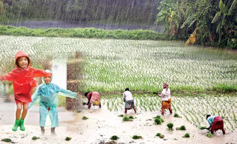 Funday Special Story On Rain