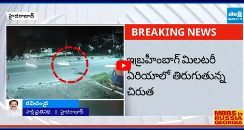 Leopard Roaming at Golconda Region Caught in CCTV Footage