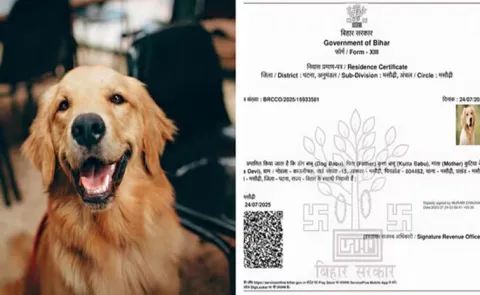 Dog Babu son of Kutta Babu gets residence certificate in Bihar
