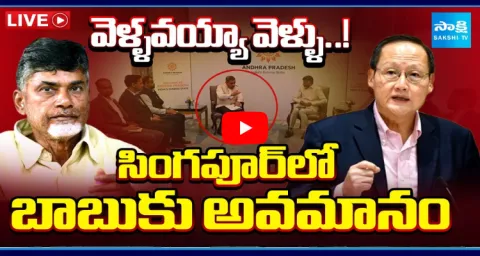 Singapore Minister Big Shock To CM Chandrababu